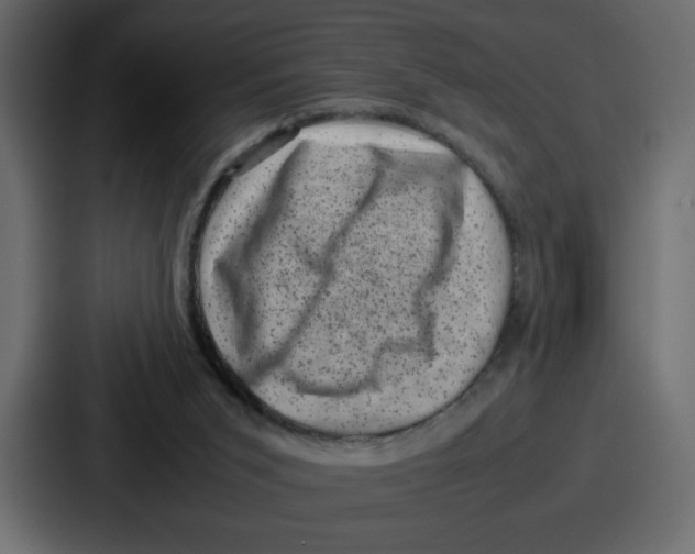 X0000087050015200705161001