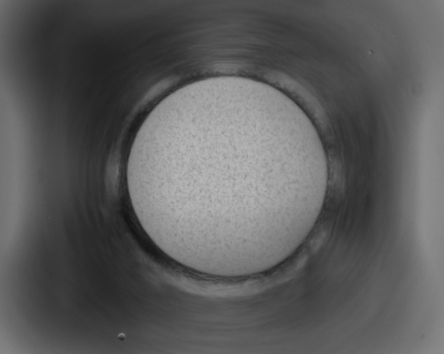 X0000087050016200705161001