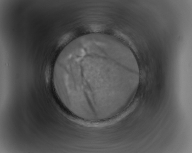 X0000087050018200705161001