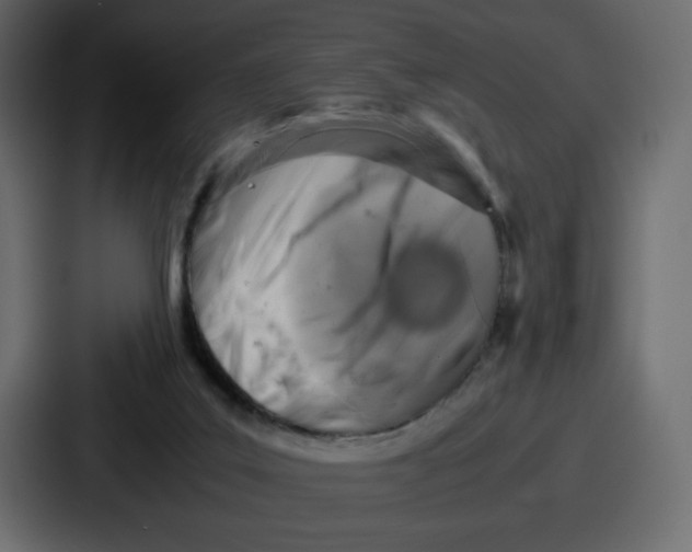 X0000087050019200705161001