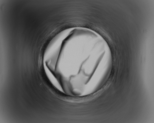 X0000087050021200705161001