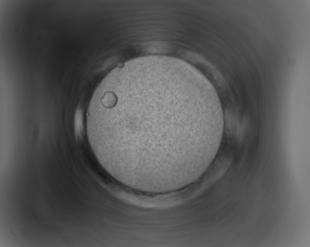 X0000087050028200705161000