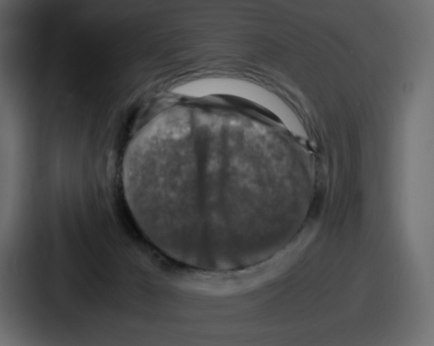 X0000087050029200705161000