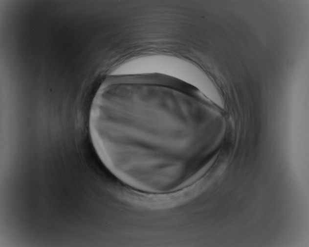 X0000087050031200705161000