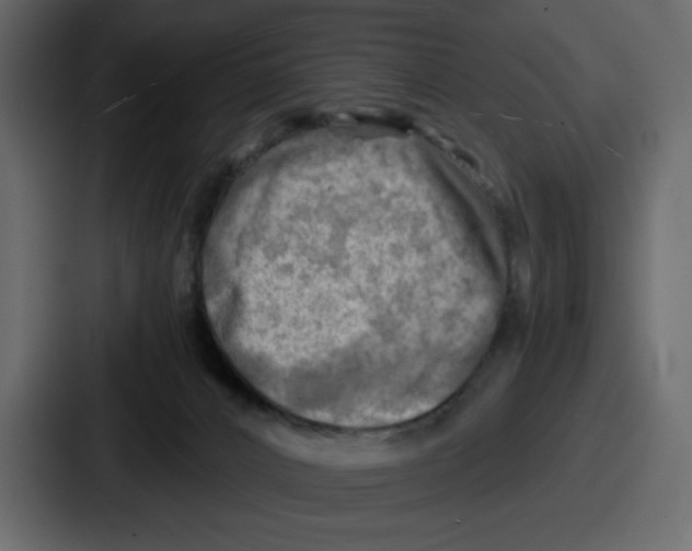 X0000087050032200705161000