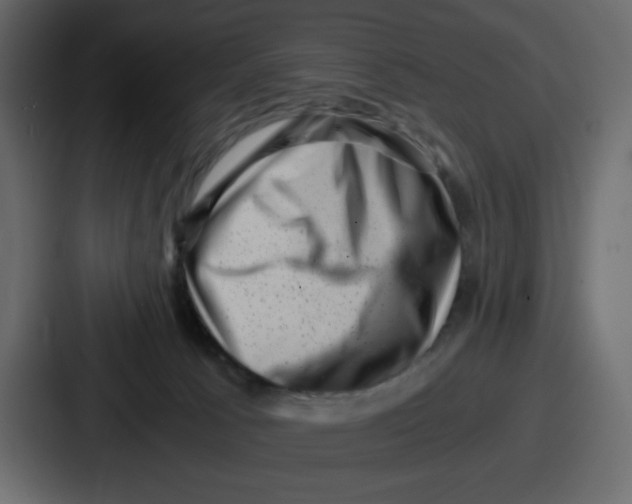 X0000087050033200705161000