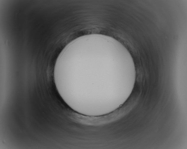 X0000087050034200705161000