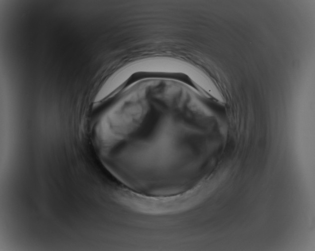 X0000087050035200705161000