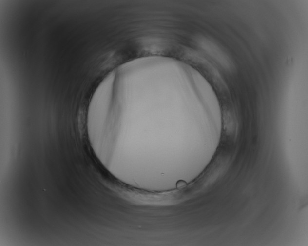 X0000087050036200705161000