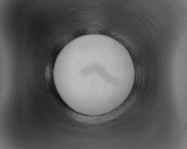 X0000087050038200705161000