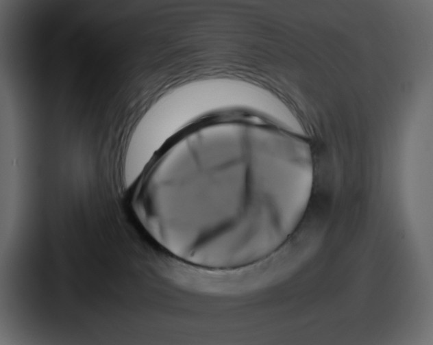 X0000087050039200705161000