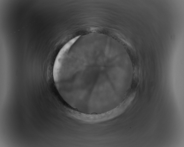 X0000087050043200705161000