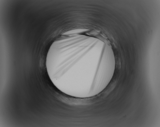 X0000087050044200705161000