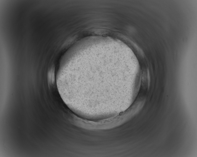 X0000087050046200705161000