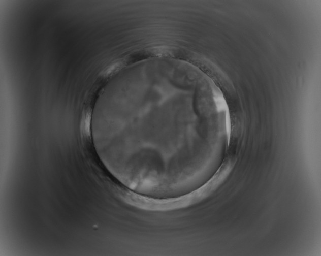 X0000087050047200705161000