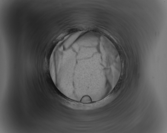 X0000087050048200705161000