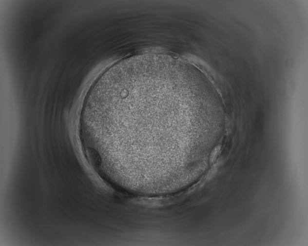 X0000087050049200705160959