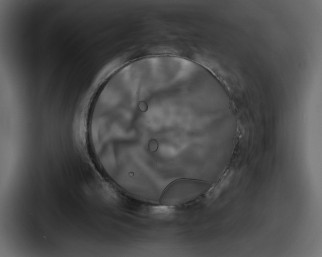 X0000087050053200705161000