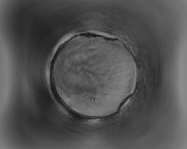 X0000087050054200705161000