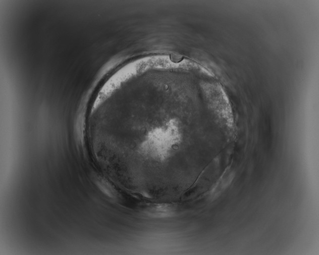 X0000087050056200705161000