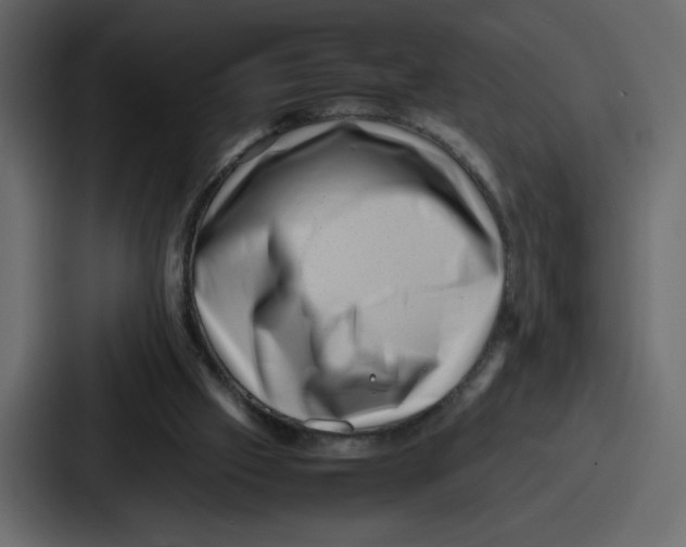 X0000087050057200705161000