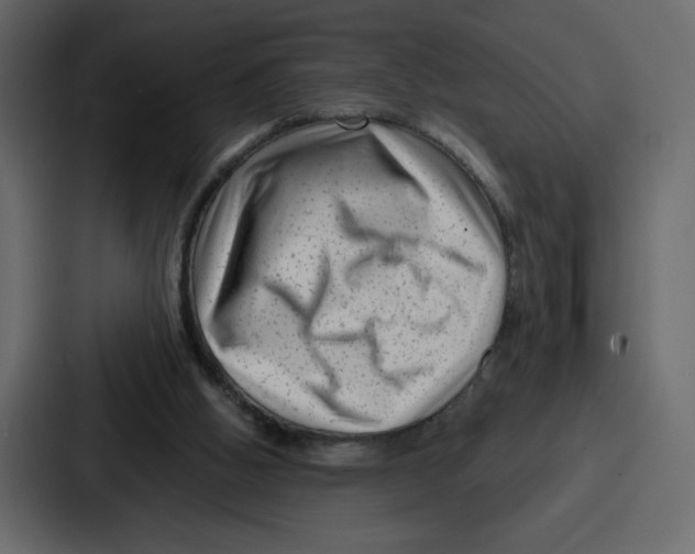 X0000087050058200705161000