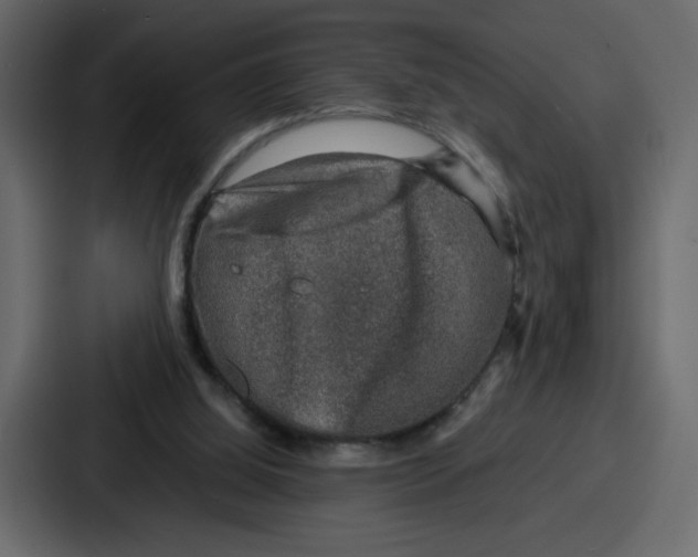 X0000087050060200705161000