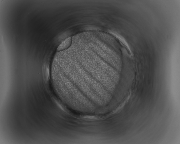 X0000087050061200705161000