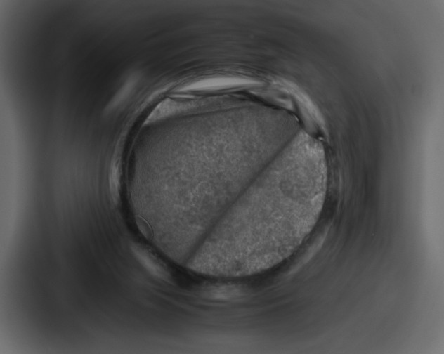 X0000087050063200705161000