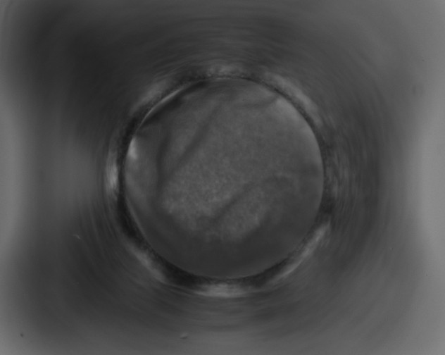 X0000087050067200705161000