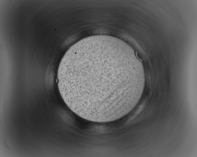 X0000087050071200705161000