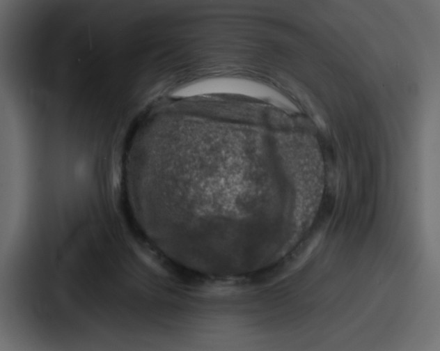 X0000087050072200705161000