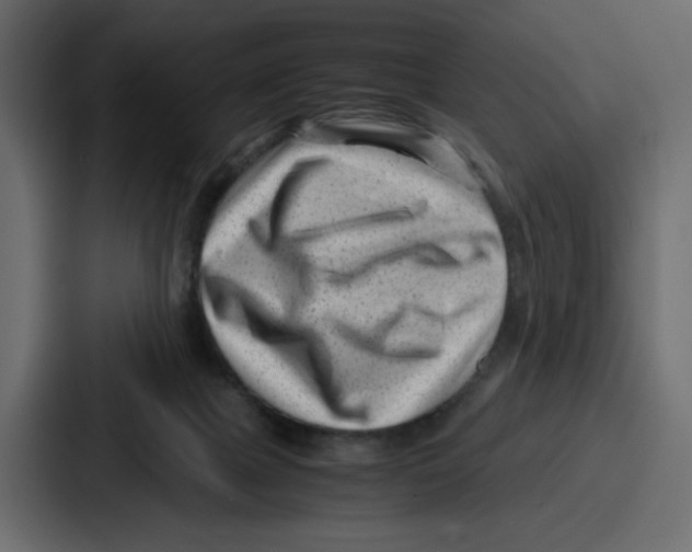 X0000087050073200705161000