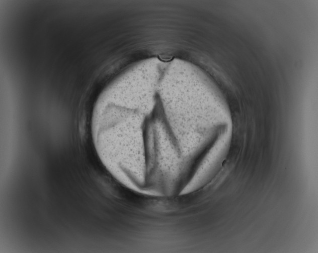 X0000087050074200705161000