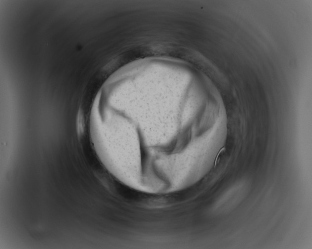 X0000087050075200705161000