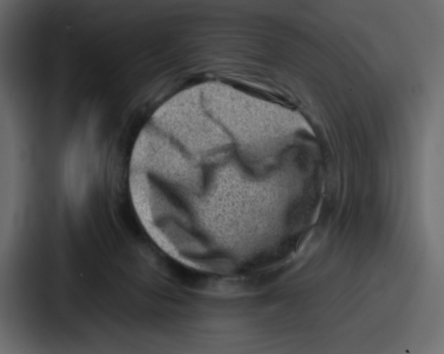 X0000087050078200705161000