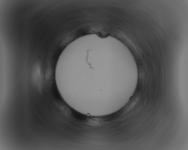 X0000087050079200705161000