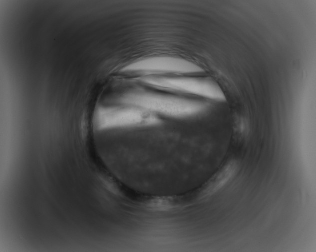 X0000087050080200705161000