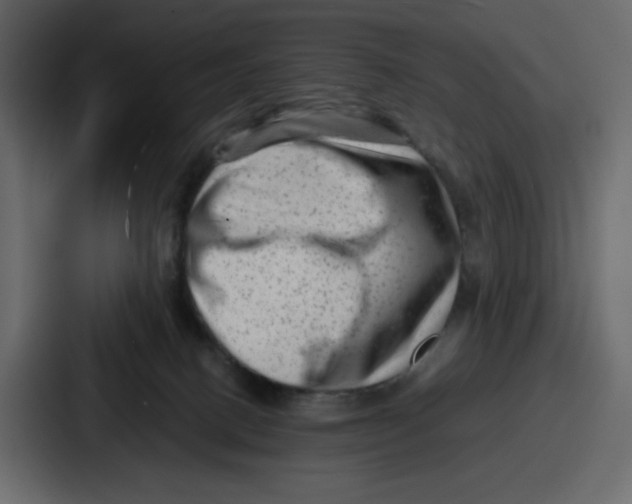 X0000087050082200705161000