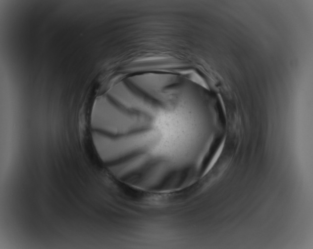 X0000087050084200705161000