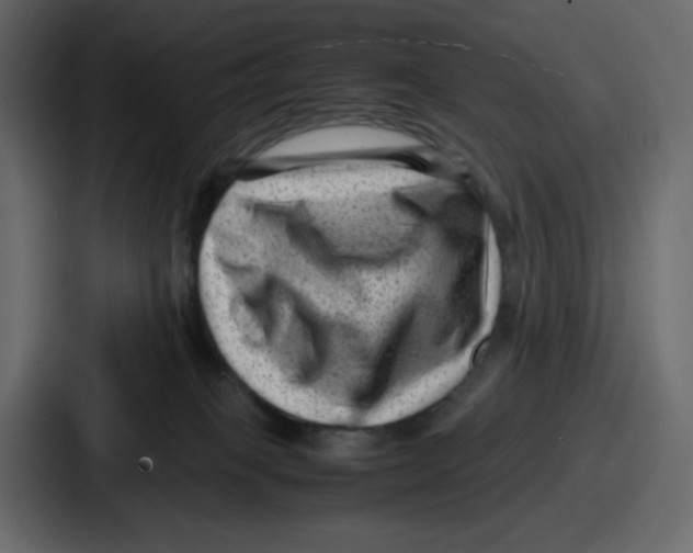 X0000087050085200705161000