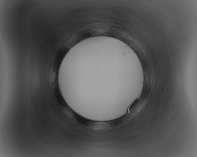 X0000087050087200705161000