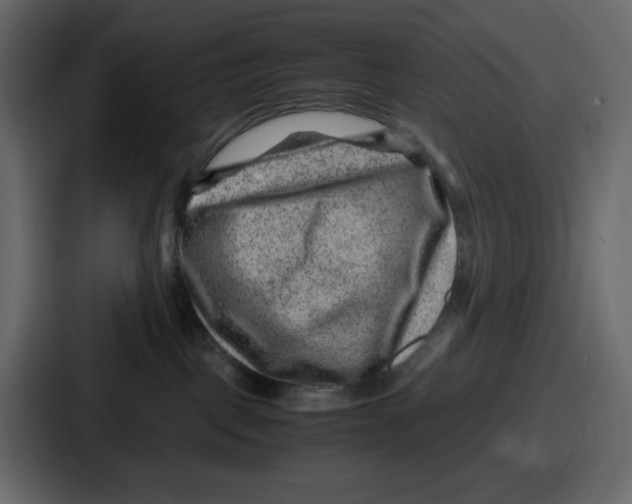 X0000087050093200705161000