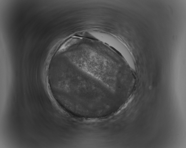 X0000087050097200705160959