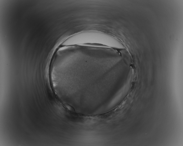 X0000087050099200705160959