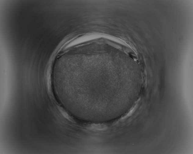 X0000087050101200705160959