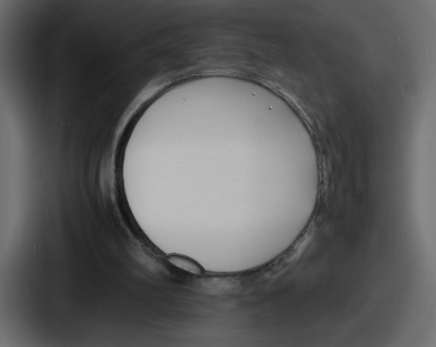 X0000087050102200705160959