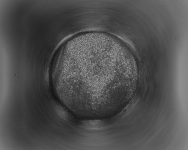 X0000087050108200705160959