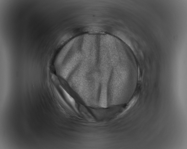 X0000087050109200705160959