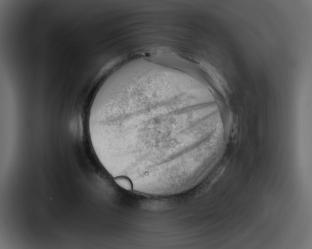 X0000087050110200705160959